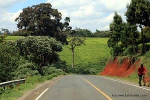 Kırmızı Topraklar