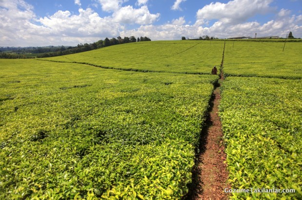 IMG_7804_5_6_tonemapped