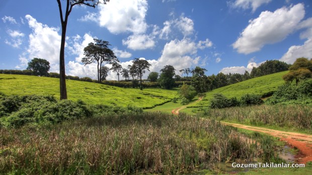 IMG_7832_3_4_tonemapped