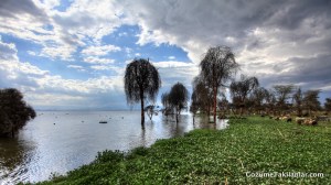 IMG_7946_7_8_tonemapped