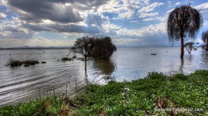 IMG_7949_50_51_tonemapped