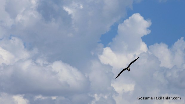 Sadece Karada Değil Havada da Hareket Var